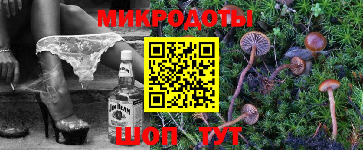 Галлюциногенные грибы Psilocybine cubensis  Вход с VPN  Чехов 